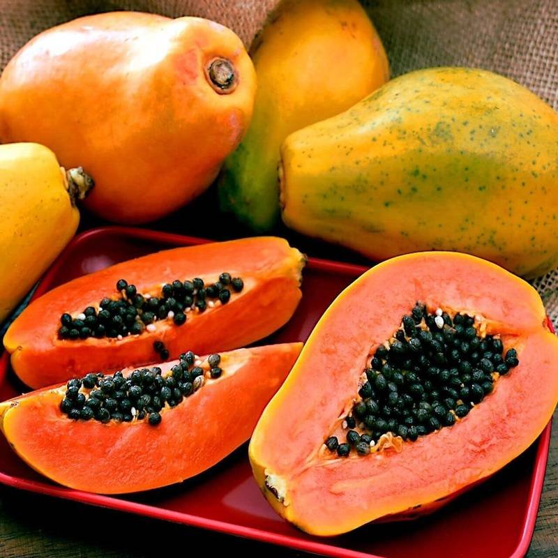 Papaya (पपीता)