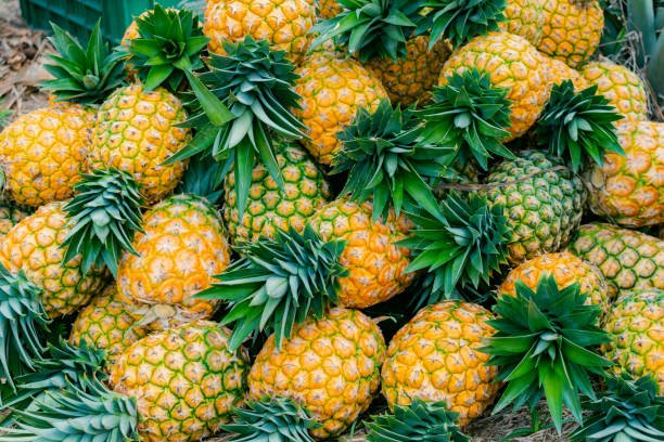 Pineapple (अन्ननास)