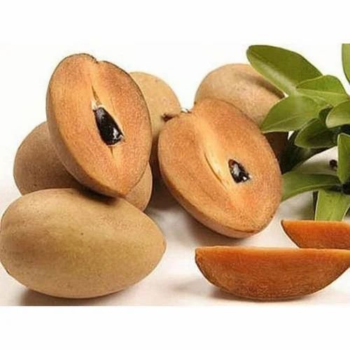 Sapota (चीकू)