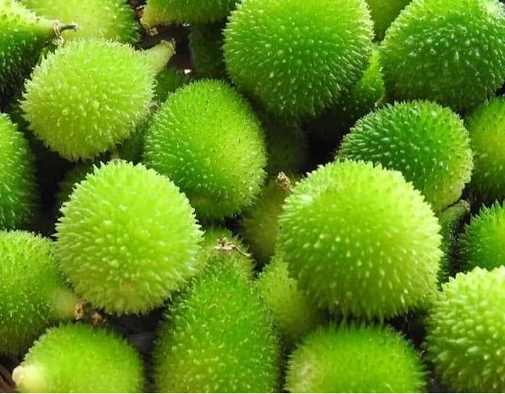 Kakora
