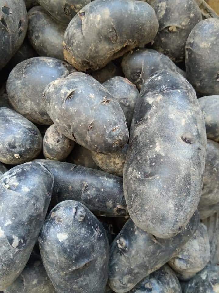 Blue patato (Aalu)